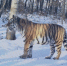 251f5002-7e1a-4f71-b319-2fd62cc7e4a8.jpg - Октябрьский район