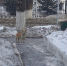 a09972a7-1c40-440d-82af-cd355f45f431.jpg - Октябрьский район